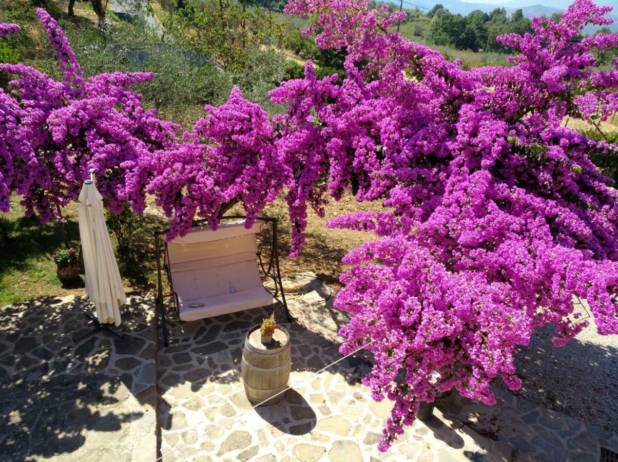 Agriturismo Il Marchese Aquara Eksteriør bilde