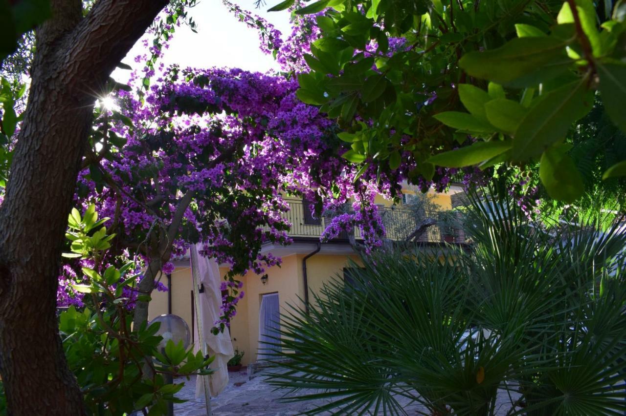 Agriturismo Il Marchese Aquara Eksteriør bilde